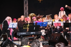 50.Johr_Vereinigte_Luzern(200)