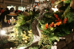 SONY DSC