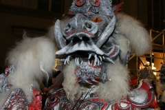 SONY DSC