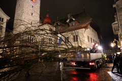 26.02.14_Baumstellen_(25)