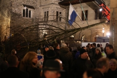 26.02.14_Baumstellen_(29)
