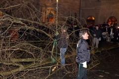 26.02.14_Baumstellen_(32)