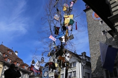 26.02.14_Baumstellen_(79)