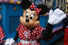SONY DSC